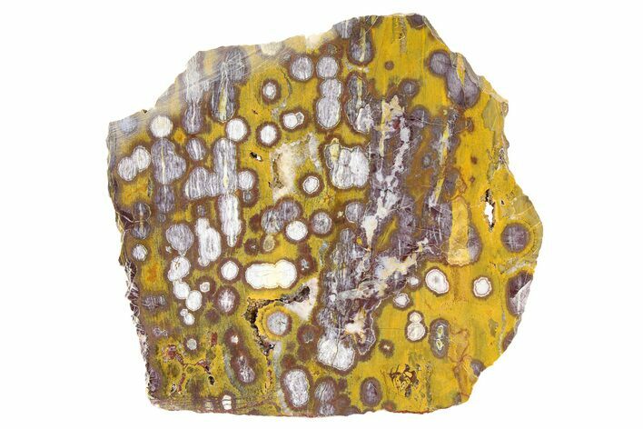 Polished Morgan Hill Poppy Jasper Slab - California #316100